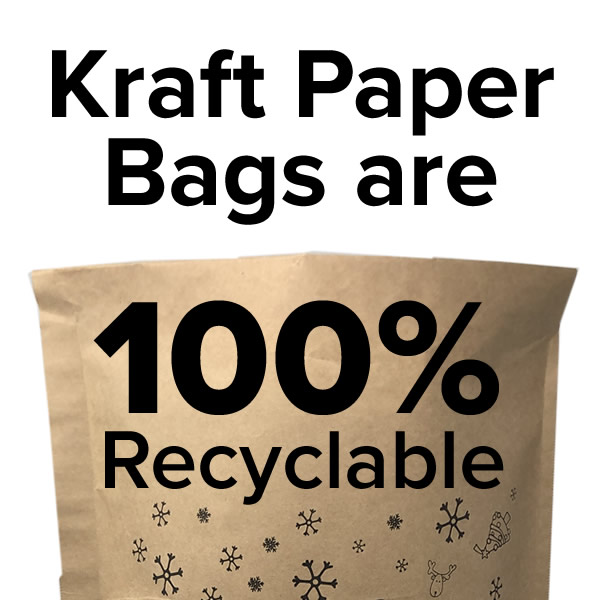 Paper Mailing Bags EcoFriendly Paper Mailers