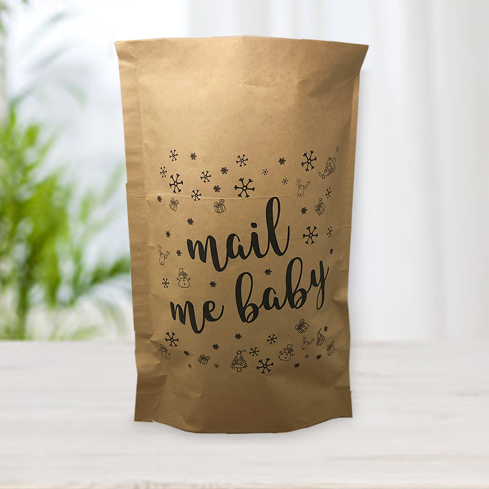 Paper Mailing Bags EcoFriendly Paper Mailers